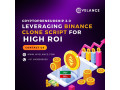 crypto-entrepreneurship-20-leveraging-binance-clone-script-for-high-roi-small-0