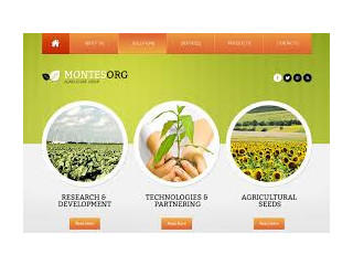 Tailored Websites for Agriculture Website Design Company