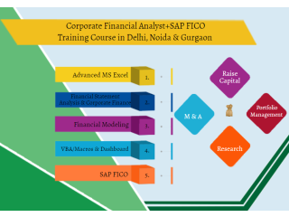 Financial Modelling Certification Course in Delhi.110088. Best Online Live Financial Analyst Training in Gurgaon by IIT Faculty , [ 100% Job in MNC]