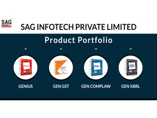 SAG Infotech: Pioneering Firm Revolutionizing Tax E-filing Software for Professionals