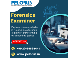 Forensics examiner | cyber forensics services