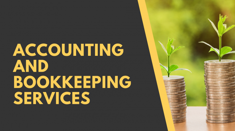 accounting-services-in-india-big-0