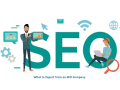 hire-best-seo-agency-in-noida-at-affordable-price-small-0