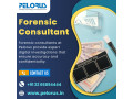 forensic-consultant-data-forensics-small-0