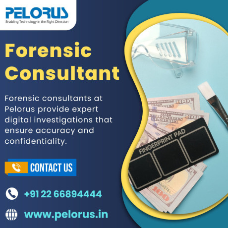 forensic-consultant-data-forensics-big-0
