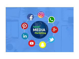 Choose Invoidea for Best Social media marketing agency in Delhi