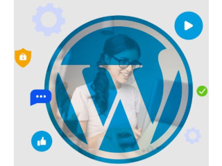 Top-Notch WordPress Development Services by AResourcePool
