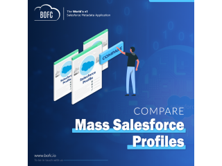 Compare Multiple Profiles in Salesforce