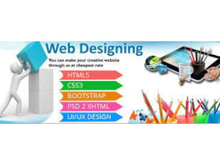 Web Design and Development Companies in Punjabi Bagh, Delhi