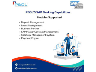SAP Consulting in India | peol solution