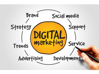 Top Digital Marketing Company in Noida Sec 63