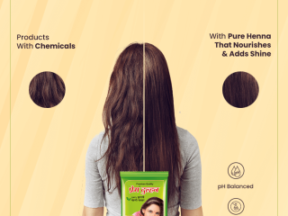 Top 10 Best Henna Brand for Hair in India for 2024 Premier Picks by PremGreen