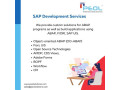 sap-services-in-indiasap-solution-in-india-small-0
