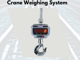 Trusted Weighing System Manufacturer in India