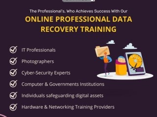 Trusted Online Data Recovery Experts: Retrieve Your Files Now