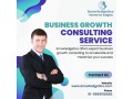 business-growth-consulting-service-small-0