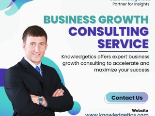 Business growth consulting service