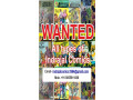 wanted-all-types-of-indrajal-comics-books-small-0
