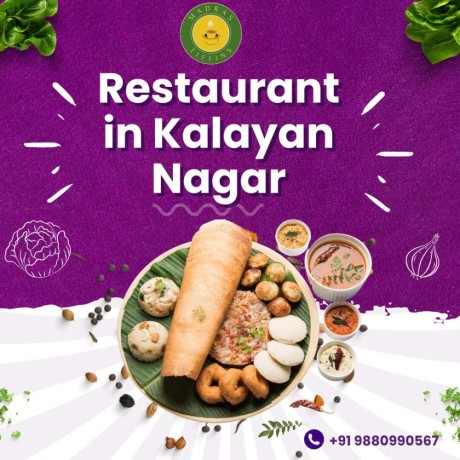 madras-tiffin-restaurant-in-kalayan-nagar-big-0