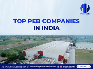Top Peb Companies in India