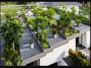 Rooftop Garden Kolkata