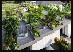 rooftop-garden-kolkata-big-0