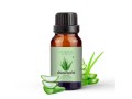 aloevera-fragrance-oil-small-0