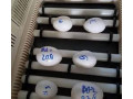fertilized-parrot-eggs-for-hatching-small-0