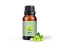 amla-fragrance-oil-small-0