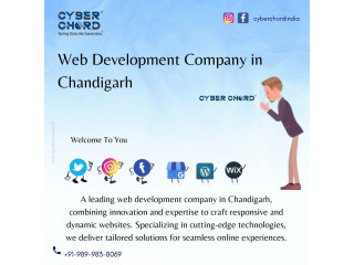 Web Development Company in Chandigarh