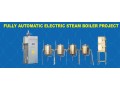 electric-steam-boiler-in-karur-small-0