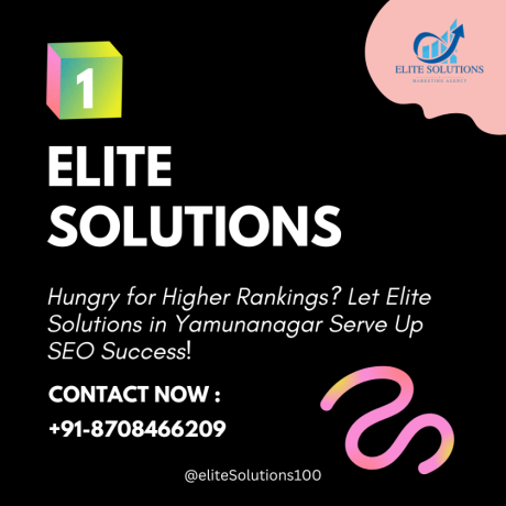 elite-solutions-best-seo-digital-marketing-agency-in-yamunanagar-big-0