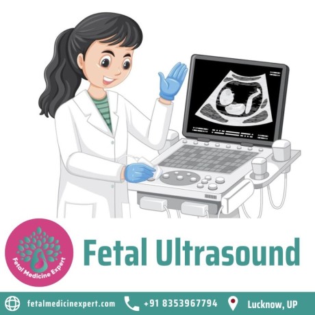 fetal-ultrasound-in-lucknow-big-0