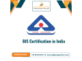 bis-registration-online-process-small-0