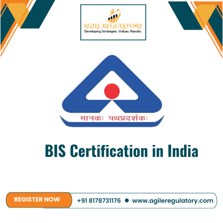 bis-registration-online-process-big-0