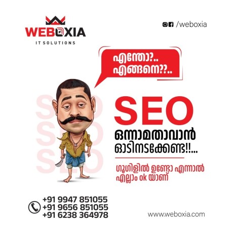 weboxia-it-solutions-best-digital-marketing-company-in-kannur-big-0