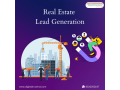 real-estate-lead-generation-company-in-pune-digital-krushna-small-0