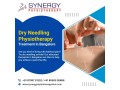 dry-needling-physiotherapy-in-bangalore-best-physiotherapists-in-pai-layout-small-0