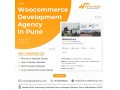 woocommerce-development-agency-in-pune-webtechnoz-small-0