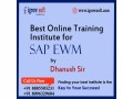 sap-mm-training-from-igrowsoft-small-0