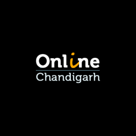 online-chandigarh-seo-services-in-mohali-big-0