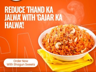 Best Gajar Ka Halwa in Delhi-ncr