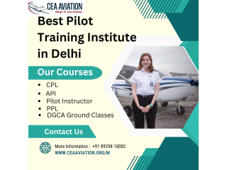 Which is the best pilot training institute in Delhi?