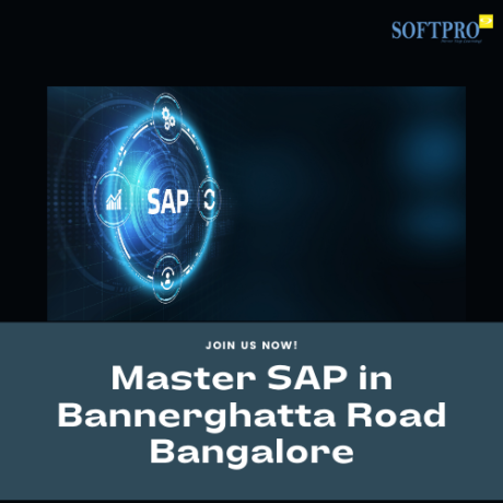 sap-training-in-bannerghatta-road-bangalore-big-0