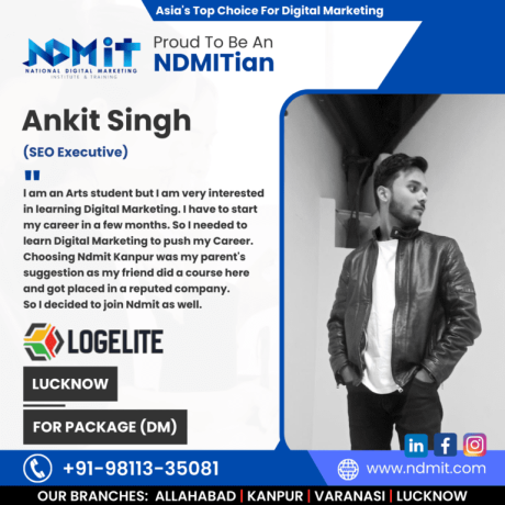 ndmit-best-digital-marketing-institute-in-lucknow-big-2