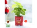 fast-and-easy-christmas-gifts-delivery-in-gurgaon-from-oyegifts-small-2