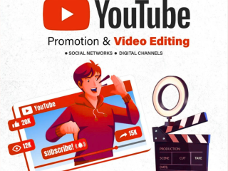 Professional YouTube Video Promotion Services in India | Reach Your Audience Now!