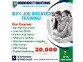 we-provide-training-with-100-job-small-0