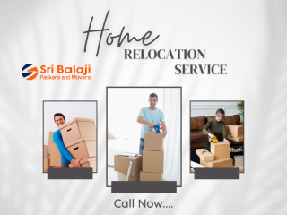 Packers and Movers in Thoraipakkam | Vehicle Transportation