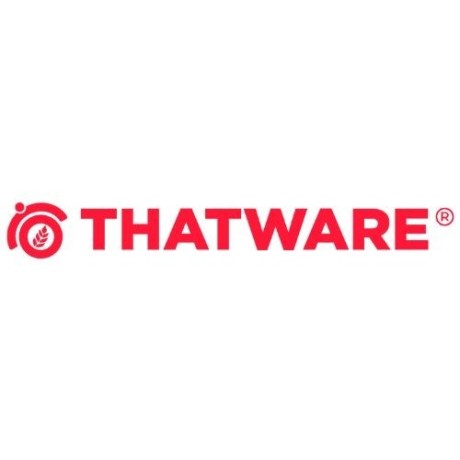 thatware-llp-leading-hyper-intelligence-seo-firm-in-mumbai-big-0